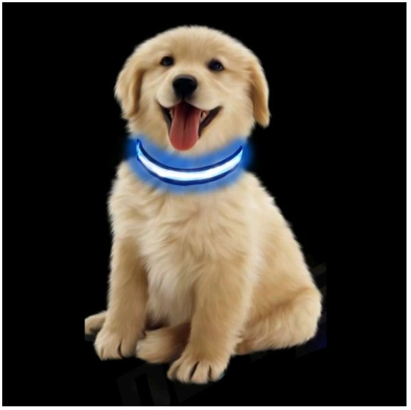 Led Dog Safety Collar
