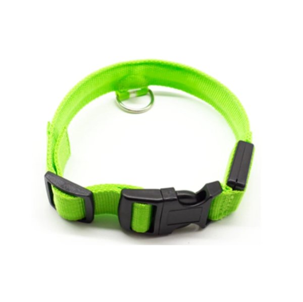 Led Dog Collar Xs / Green