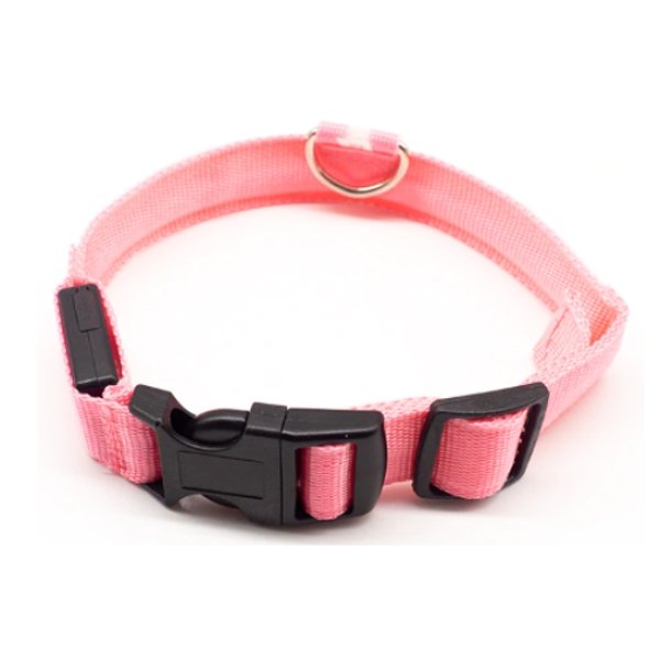 Led Dog Collar Xs / Pink