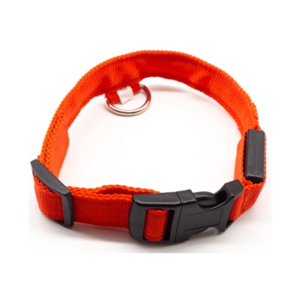 Led Dog Collar Xs / Red